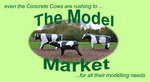 Model Market