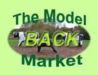 Back to Model Market page